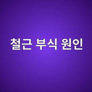콘크리트 철근 부식의 원인과 발생 과정 1 ecb2a0eab7bc ebb680ec8b9d ec9b90ec9db8 1786687518