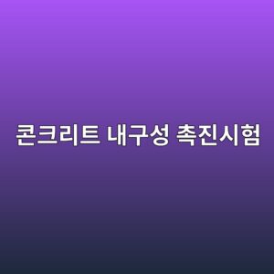 콘크리트 내구성 평가를 위한 촉진시험 방법과 적용 기준 2 ecbd98ed81aceba6aced8ab8 eb82b4eab5acec84b1 ecb489eca784ec8b9ced9798 1786878618