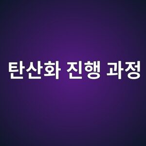 콘크리트 탄산화 진행 과정과 철근 부식 영향 5 ed8384ec82b0ed9994 eca784ed9689 eab3bceca095 1785934472