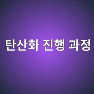 콘크리트 탄산화 진행 과정과 철근 부식에 미치는 영향 2 ed8384ec82b0ed9994 eca784ed9689 eab3bceca095 1786597672