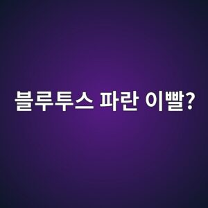 블루투스 뜻이 파란 이빨? 이름 뒤에 숨겨진 황당하고 재밌는 유래 2 ebb894eba3a8ed88acec8aa4 ed8c8ceb9e80 ec9db4ebb9a8 1788720857