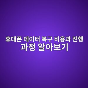 휴대폰 데이터 복구 비용, 얼마나 들까? 진행 과정까지 알아보기 4 ed9cb4eb8c80ed8fb0 eb8db0ec9db4ed84b0 ebb3b5eab5ac ebb984ec9aa9eab3bc eca784ed9689 eab3bceca095 ec958cec9584ebb3b4eab8b0 1788346779