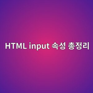 문의하기 페이지 직접 만드는 HTML input 속성 총정리 9 html input ec868dec84b1 ecb49deca095eba6ac 1788503222