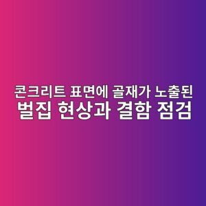 콘크리트 벌집 현상 원인과 보수 방법|발생 원인부터 예방 대책까지 1 ecbd98ed81aceba6aced8ab8 ed919ceba9b4ec9790 eab3a8ec9eaceab080 eb85b8ecb69ceb909c ebb28ceca791 ed9884ec8381eab3bc eab2b0ed95a8 eca090 1792086176
